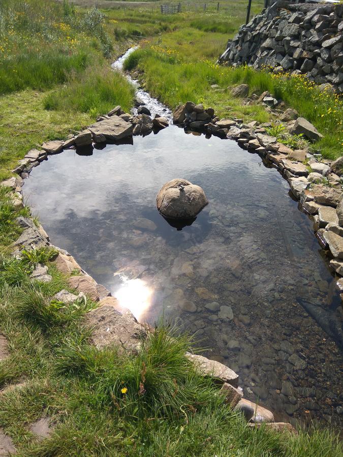 Hotel Laugarholl With Natural Hot Spring Holmavik Dış mekan fotoğraf